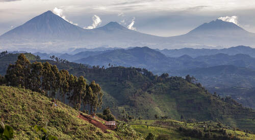 Rwanda Express : Kigali, les gorilles et le parc de l'Akagera 