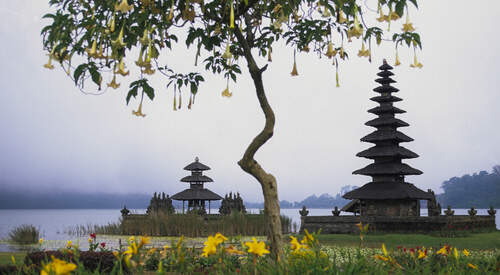 Les incontournables de Bali