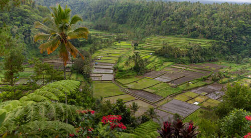Bali, tour de l’île en trois semaines