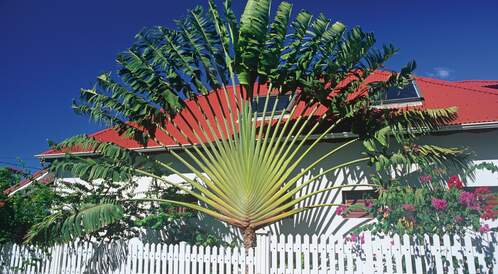 Deux semaines dans l'archipel papillon