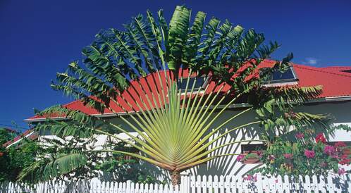 Guadeloupe : le grand tour