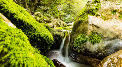 Majestueuse Slovénie, entre nature et patrimoine