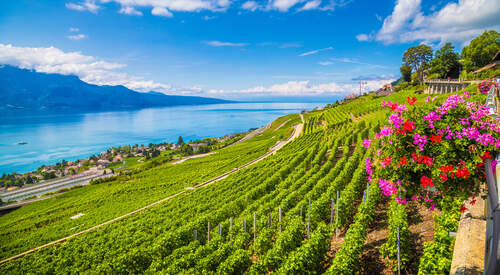 Genève, Lausanne et Lavaux en 3 jours