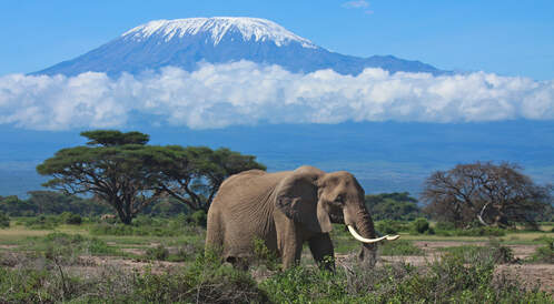 Parcs du nord, Kilimandjaro et Zanzibar