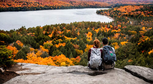 Pointe Pelée et Algonquin, joyaux naturels des Grands Lacs