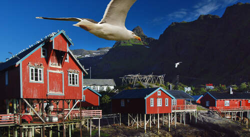 Escapade en Laponie norvégienne