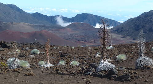 Une semaine sur l'île de Maui