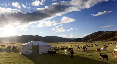 Le tour de la Mongolie en une semaine