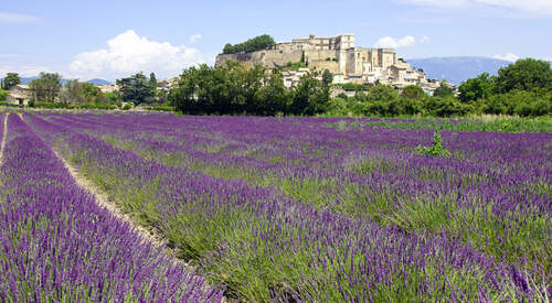 3 jours en Drôme provençale