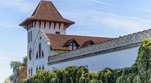 Vins du sud, Transnistrie et cabane dans les arbres