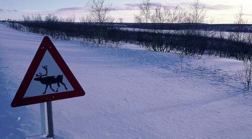  Escapade d'une semaine en Laponie norvégienne