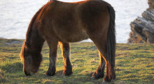 The South-West in eight days