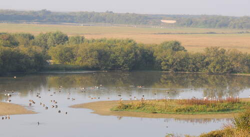 4 jours en baie de Somme