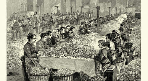 Sur la route Napoléon